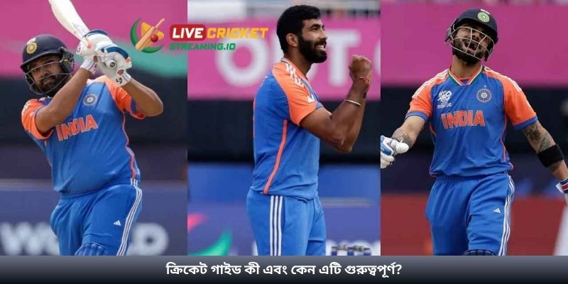 ক্রিকেট গাইড কী এবং কেন এটি গুরুত্বপূর্ণ?