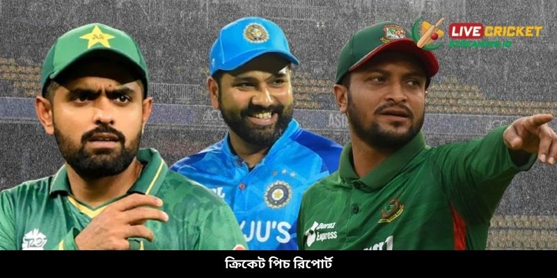 ক্রিকেট পিচ রিপোর্ট